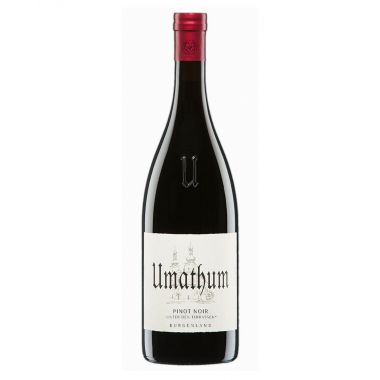 Burgenland Pinot Noir 'Unter den Terrassen' 2019 Umathum