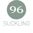 review_suckling_96